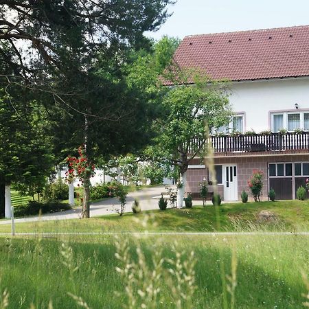 Apartment Drago Раковица Екстериор снимка