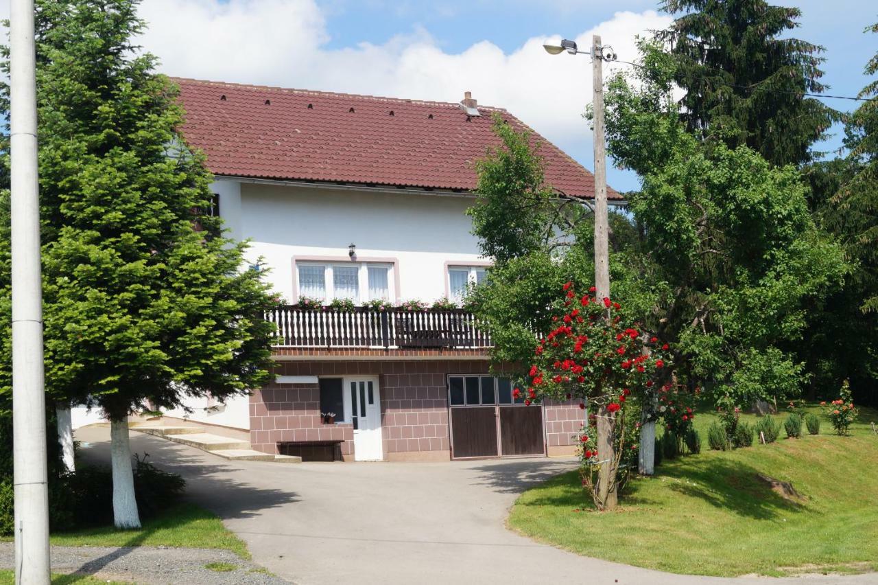 Apartment Drago Раковица Екстериор снимка