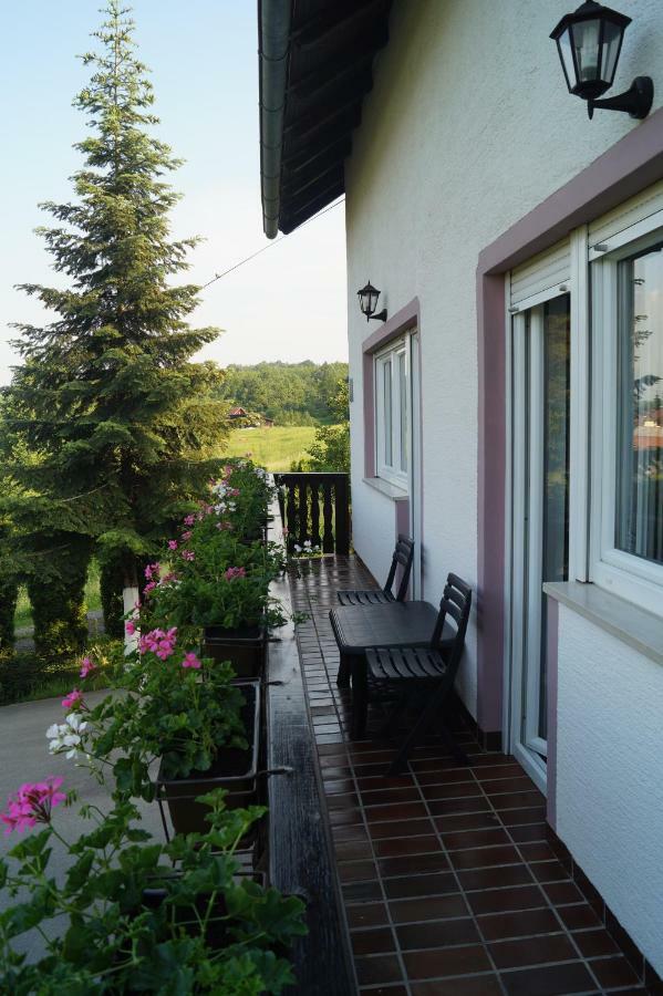 Apartment Drago Раковица Екстериор снимка