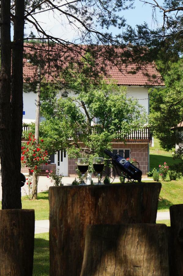 Apartment Drago Раковица Екстериор снимка