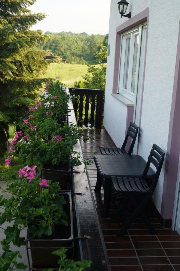 Apartment Drago Раковица Екстериор снимка